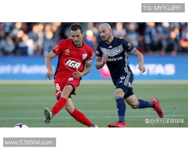 墨尔本城迎战新城堡联争夺胜利的激烈对决即将上演